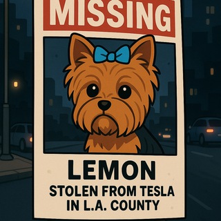 Telegram profile photo for $Lemon