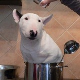 Telegram profile photo for Муравейник