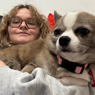 Telegram profile photo for xomashenka today