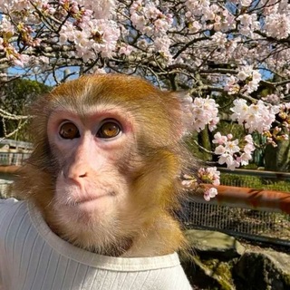 Telegram profile photo for ИЛЮХСКИЙ