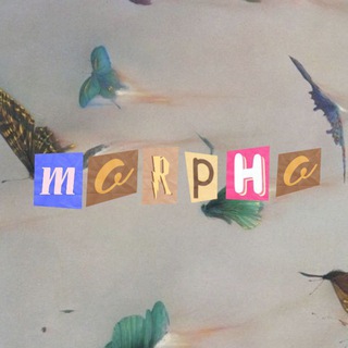 Telegram profile photo for Morpho!