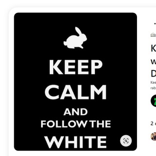 Telegram profile photo for Follow The White Rabbit