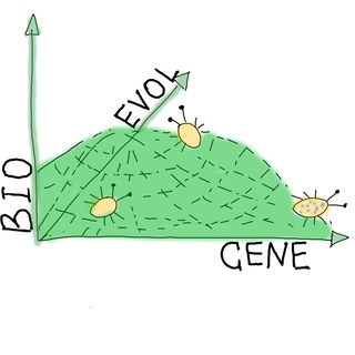 Telegram profile photo for БиоЭволГен | BioEvolGene