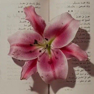Telegram profile photo for زُمُرّدة °🌸💗