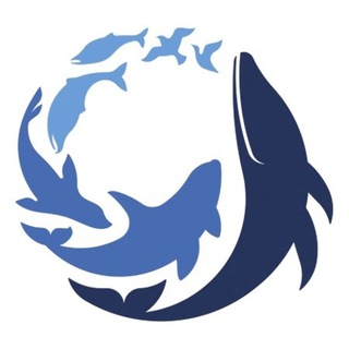 Telegram profile photo for Национальный парк «Командорские острова»