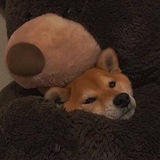 Telegram profile photo for ™️