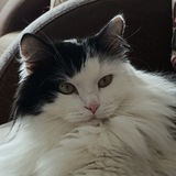 Telegram profile photo for Релакс