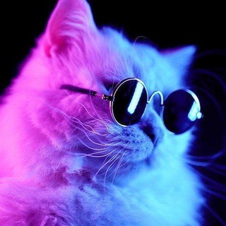 Telegram profile photo for Way to Dank π