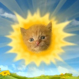 Telegram profile photo for егэ сдавайся блин