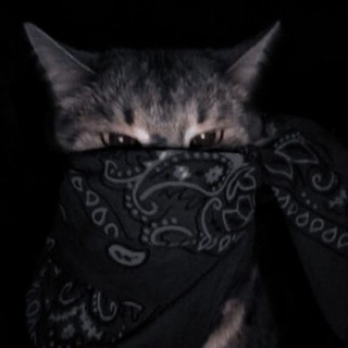 Telegram profile photo for Слабейшие юноши