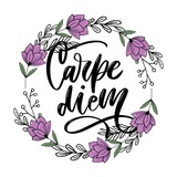 Telegram profile photo for Carpe Diem 🌺