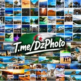 Telegram profile photo for 🌸Photo DZ 🍃