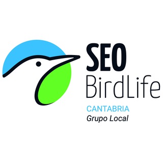 Telegram profile photo for Grupo Local SEO Cantabria