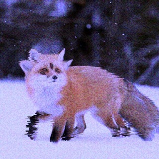 Telegram profile photo for Голубой Лис 🌙