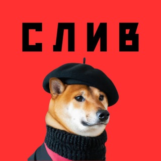 Telegram profile photo for Cryptology 11