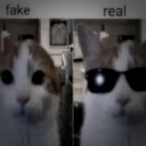 Telegram profile photo for moots @Fukaiumi