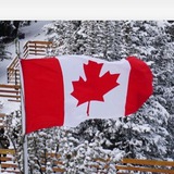 Telegram profile photo for basi canada