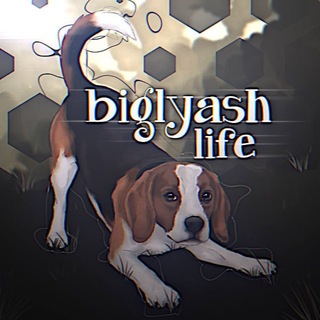 Telegram profile photo for biglyash life