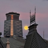 Telegram profile photo for Распродажа на Марджанишвили