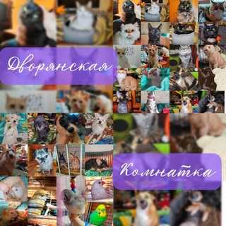 Telegram profile photo for Дворянская Комнатка и Друзья 🐶🤝🐱