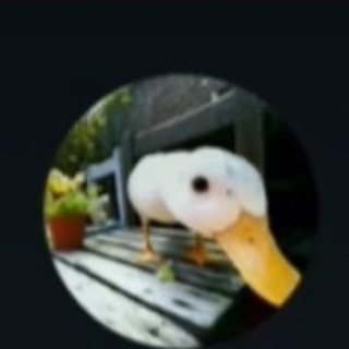 Telegram profile photo for Опрос от Гуся 🪿