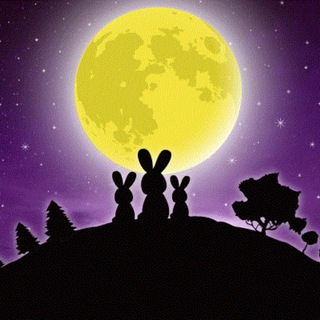 Telegram profile photo for Full Moon Pumps