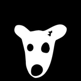 Telegram profile photo for داگز DOGZ|ایردراپ