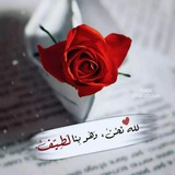 Telegram profile photo for كـــن بلــــــســما ..🤍