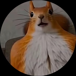 Telegram profile photo for Urumichi Flowframes🧏🤫