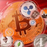 Telegram profile photo for Hunter airdrops