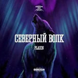 Telegram profile photo for Клан Северного Волка | PLAXIN