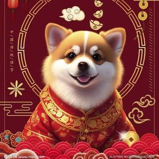 Telegram group profile photo for 柬埔寨狗推交流群