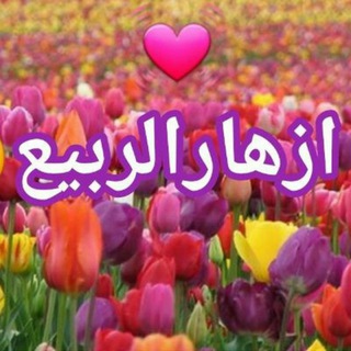 Telegram profile photo for 🍃🌷أزهار الربيع🌷🍃