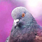 Telegram profile photo for Помёт (приколы про говно)