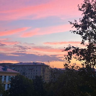 Telegram profile photo for Прекрасный Ломоносовский