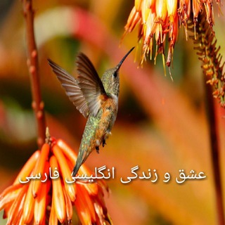 Telegram profile photo for عشق و زندگی انگلیسی فارسی
