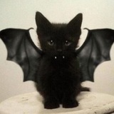 Telegram profile photo for мурля пиздит👻
