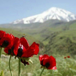 Telegram profile photo for دریا کویر