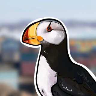 Telegram profile photo for Чёткая Чукотка