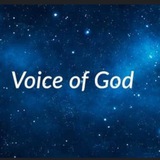 Telegram profile photo for THE VOICE