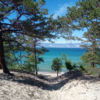 Telegram profile photo for Байкал