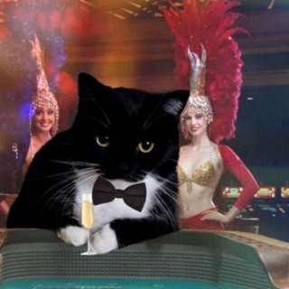 Telegram profile photo for kittywaffens shitpost repository (toxoplasmosis enjoyers)