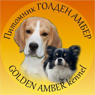 Telegram profile photo for Щенки породы бигль, чихуахуа питомник Голден Амбер