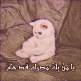 Telegram profile photo for قناة || لماذا أنا 😎✌️📿