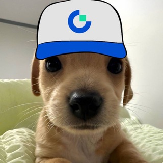 Telegram profile photo for Bermiz делает