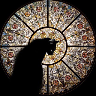 Telegram profile photo for Ведьма из Полиса