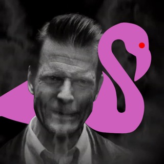 Telegram profile photo for Pink Bird Meme Institute