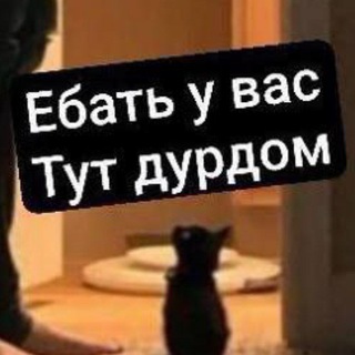 Telegram profile photo for Свалка(NeWado)