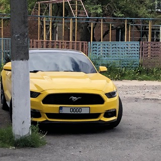 Telegram profile photo for Refik_Trafik Актуально И отзыв