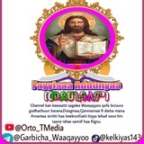 Telegram profile photo for Fayyisaa Addunyaa/መድኃኔዓለም/